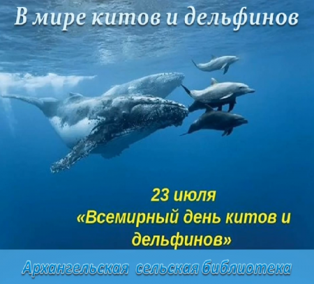 Архангельская сельская библиотека Видео обзор "В мире китов и дельфинов"